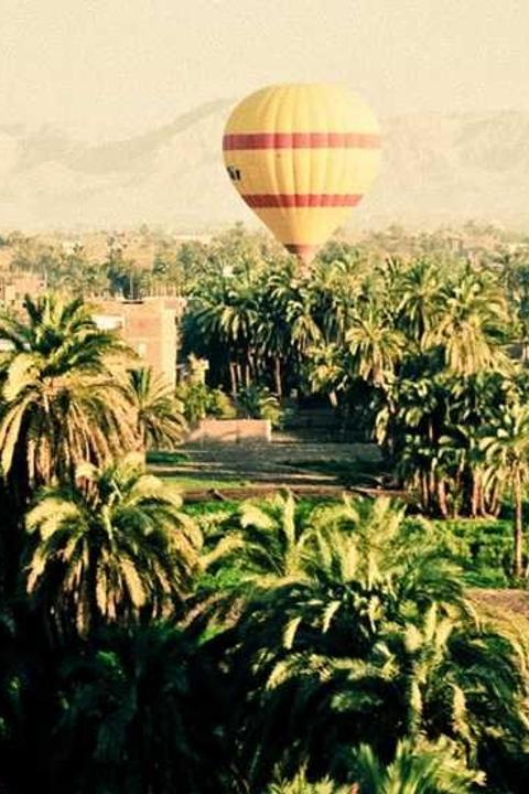 The Innovation Paradox: Policy as the Bottleneck