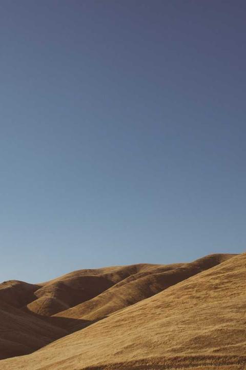 The Price of Carbon: Balance Sheet Risk